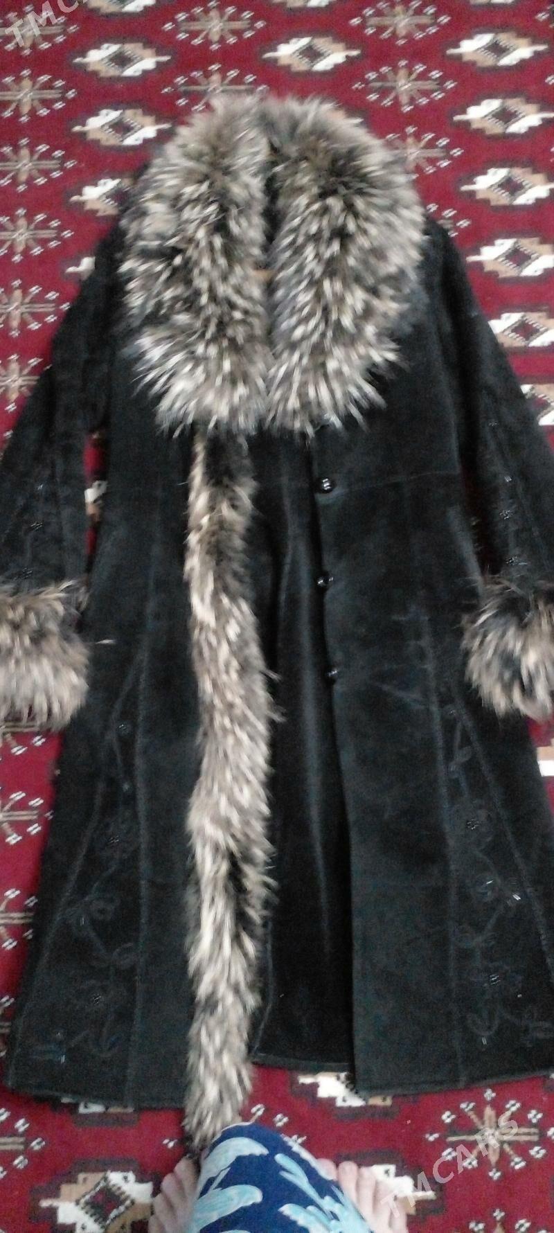 palto - Daşoguz - img 1