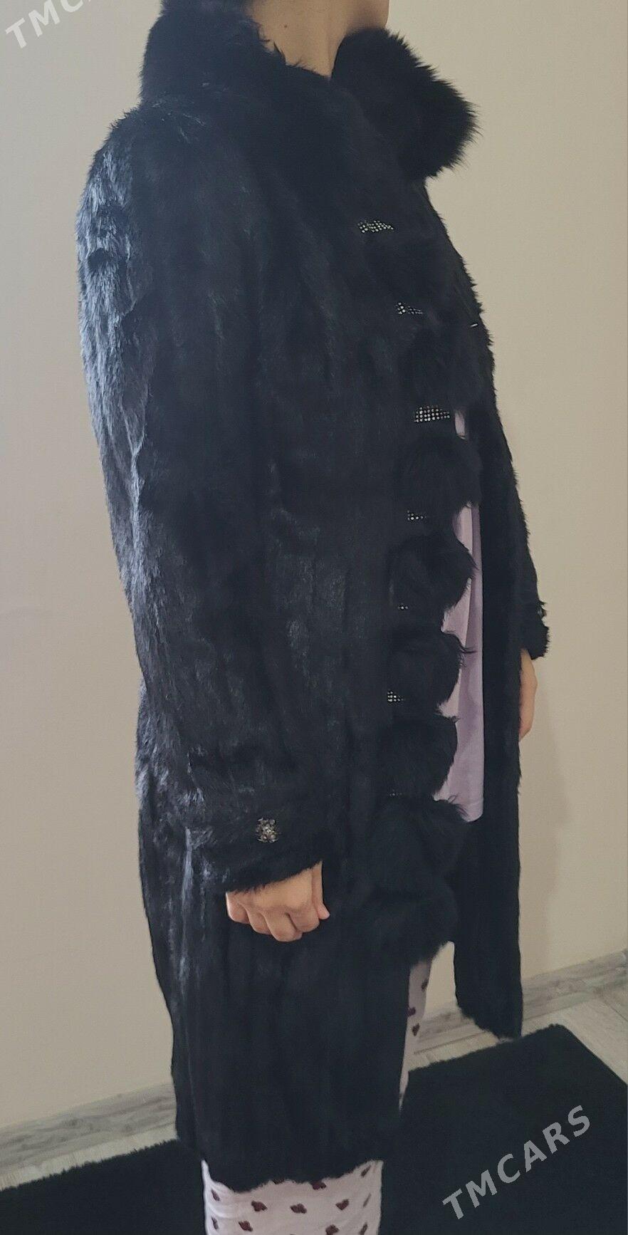 Şuba - Gurtly - img 1