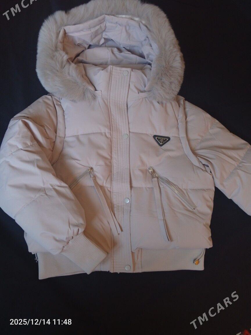 Kurtka - Daşoguz - img 1