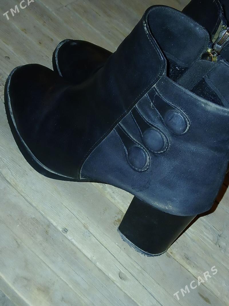 adik - Daşoguz - img 1