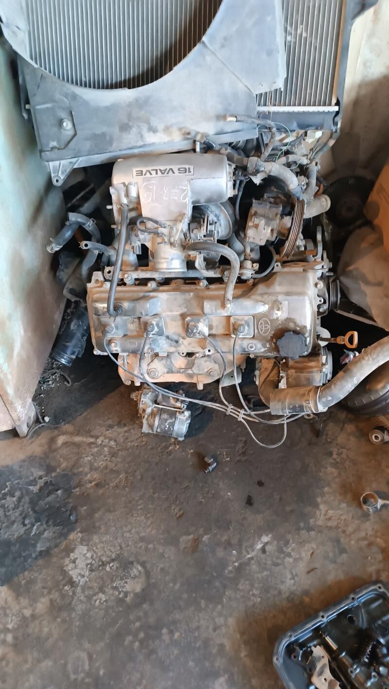 прада матор mator 7 000 TMT - Sakarçäge - img 1