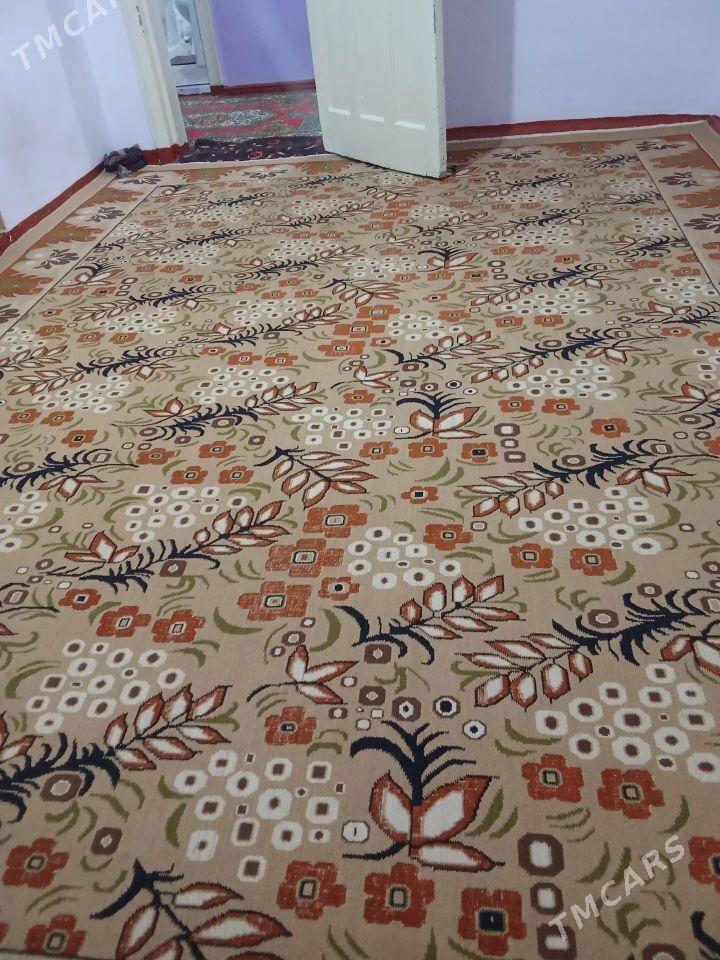 haly - Gumdag - img 1