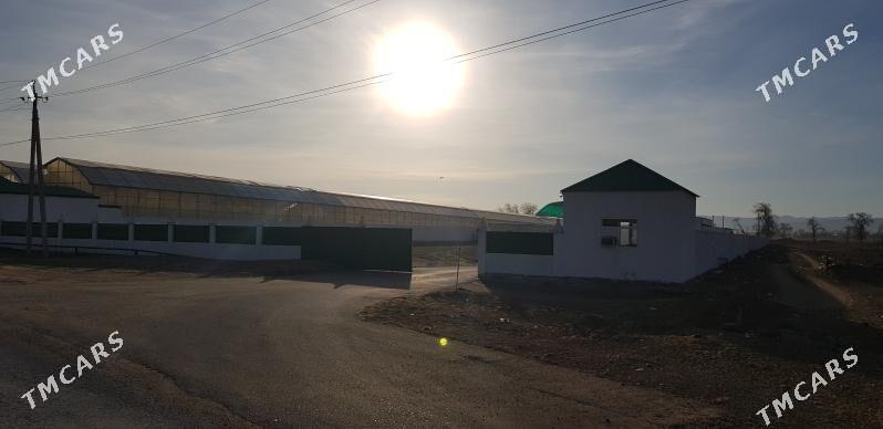 ÖNÜMÇILIK ÜÇIN GURULAN DESGA - Анев - img 1