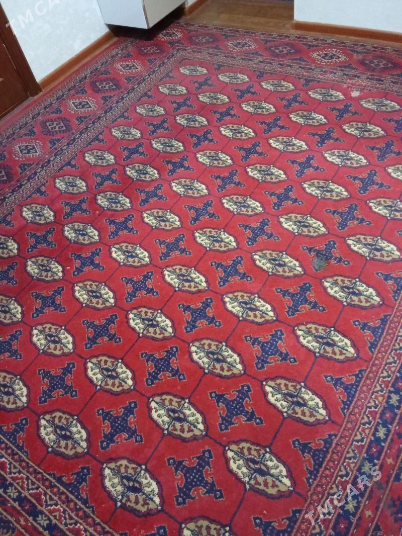 haly - Balkanabat - img 1