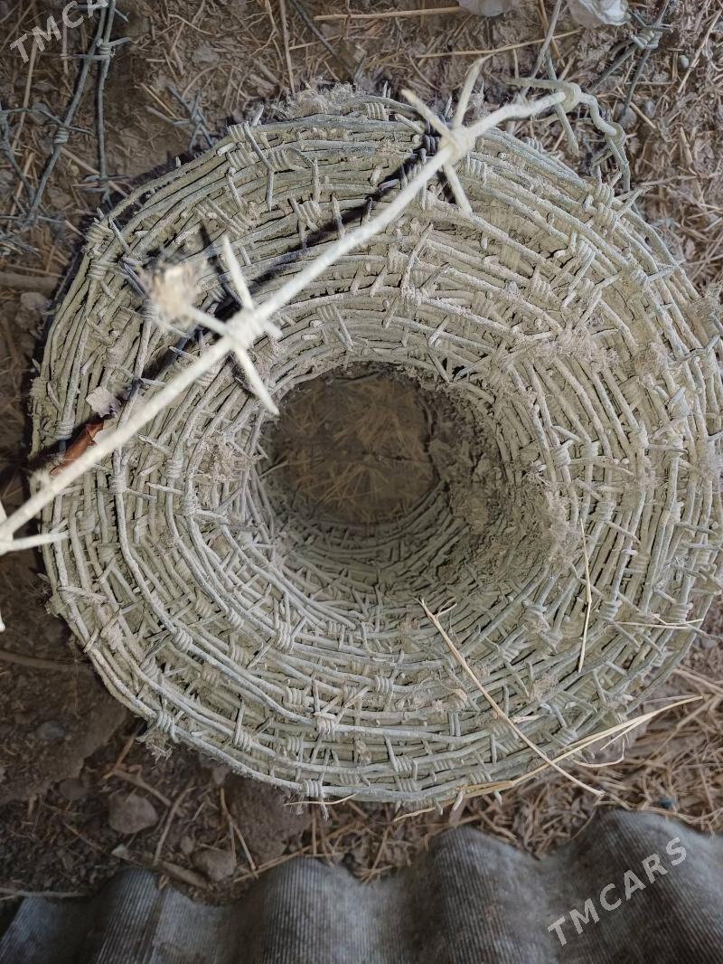 dikenli sym zabor ùçin - Гёкдепе - img 1