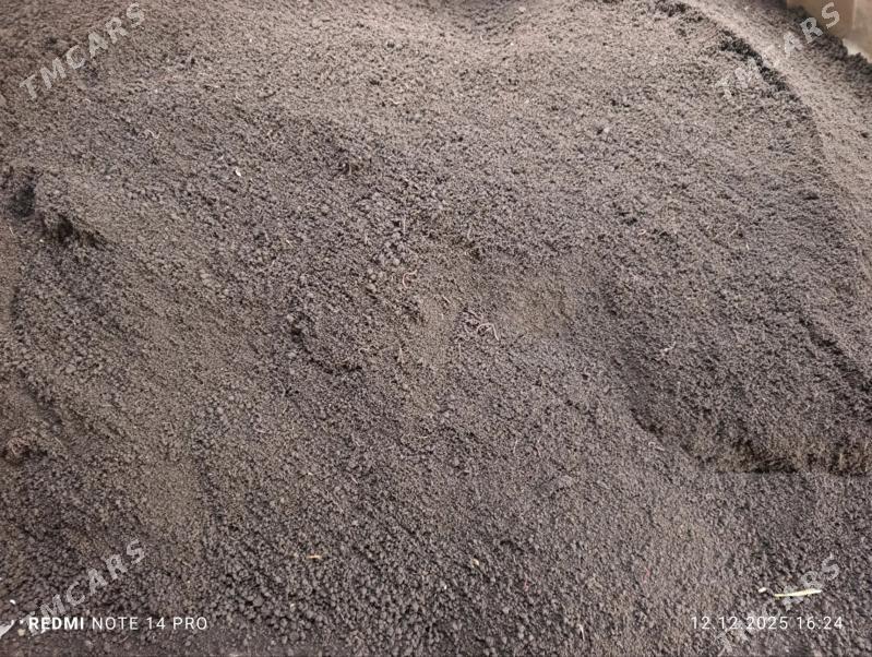 gumus - Туркменабат - img 1