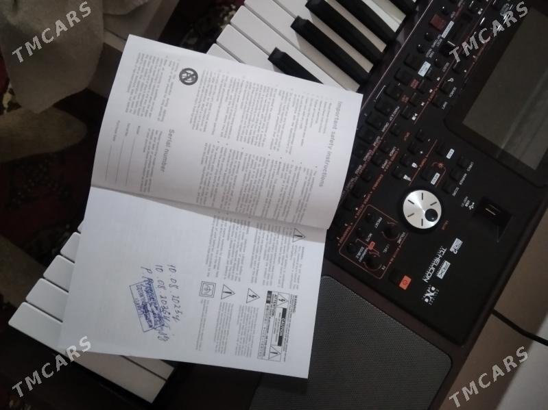 Korg pa 1000 - Gurbansoltan Eje - img 1