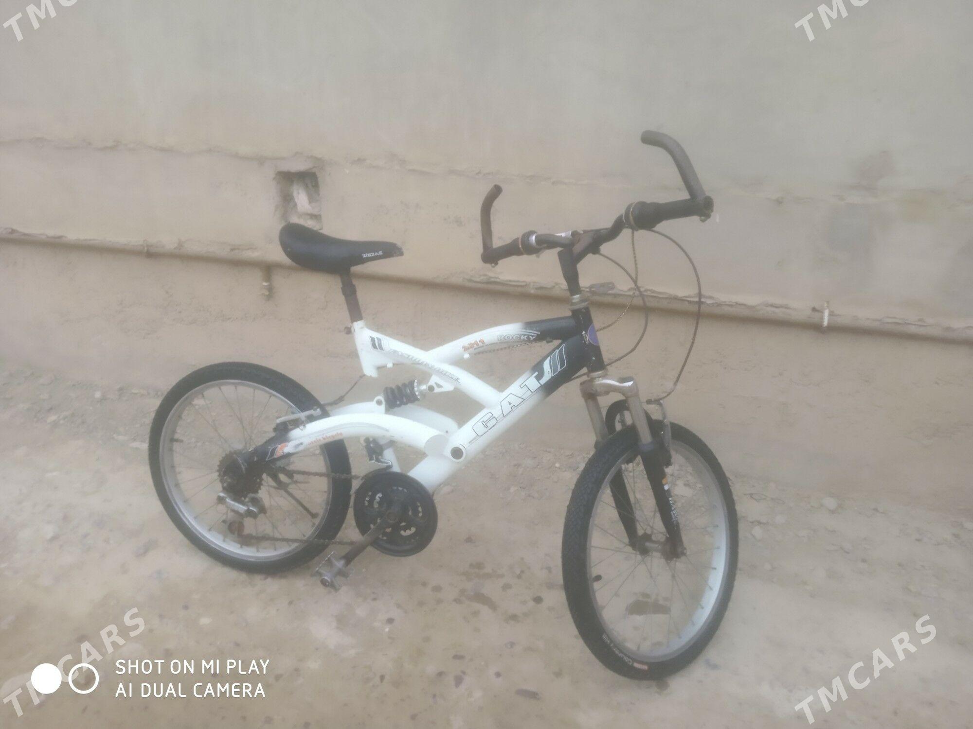 Tigir - Tejen - img 1