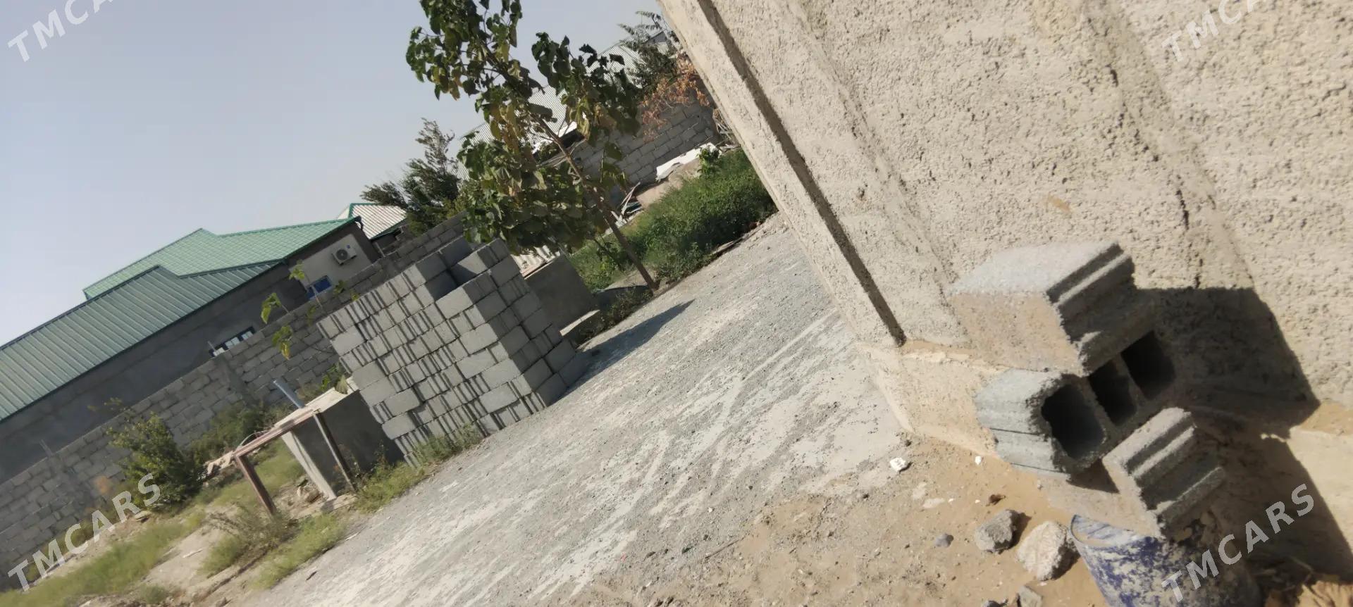 satlık Jay satlyk jay - Ýaşlyk - img 1