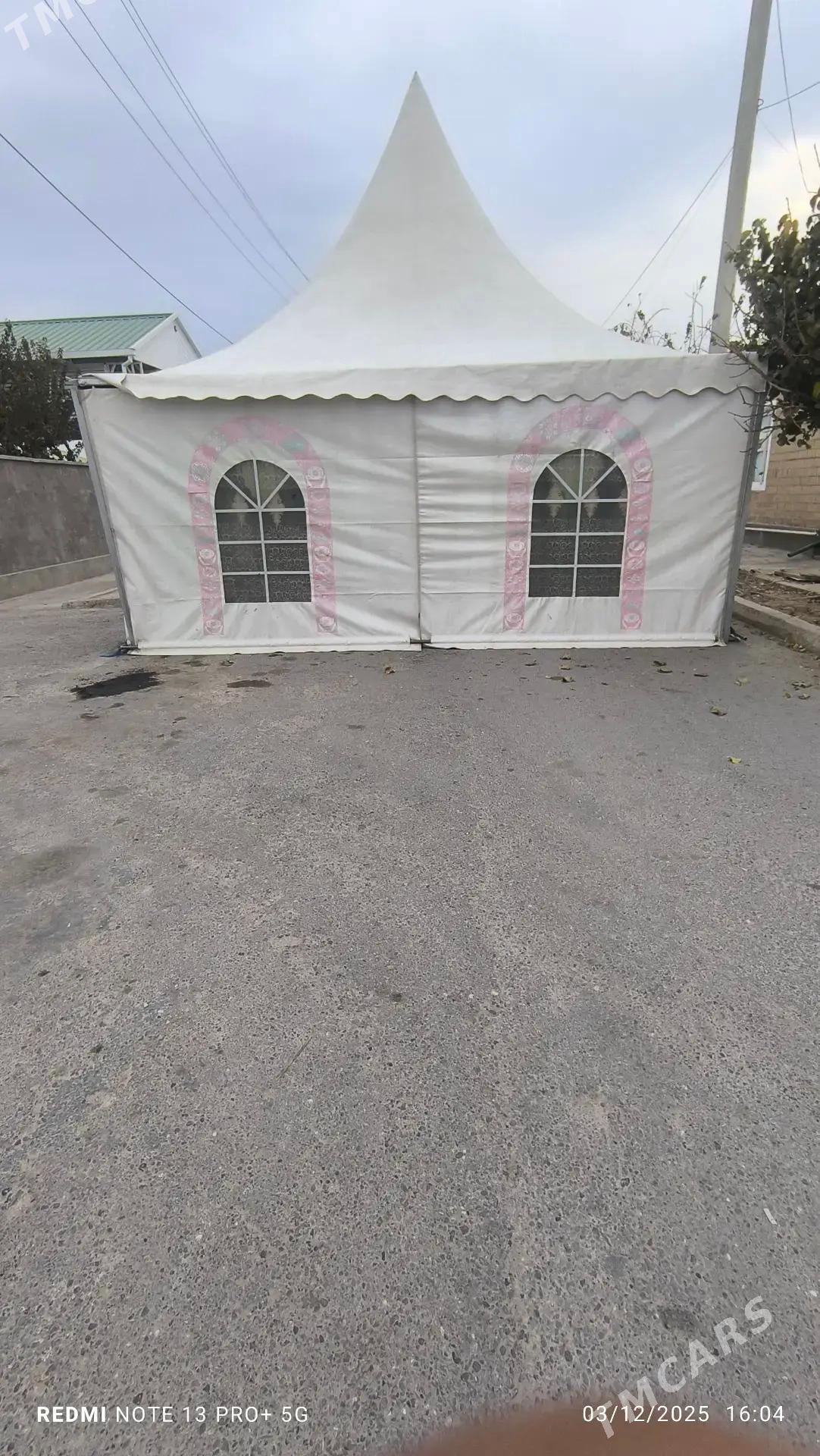 palatga - Kaka - img 1