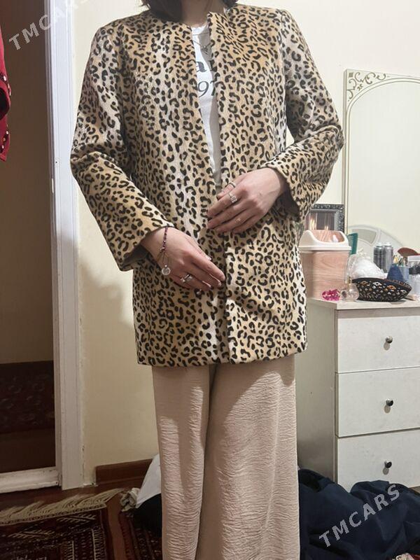 kastyum - Aşgabat - img 1