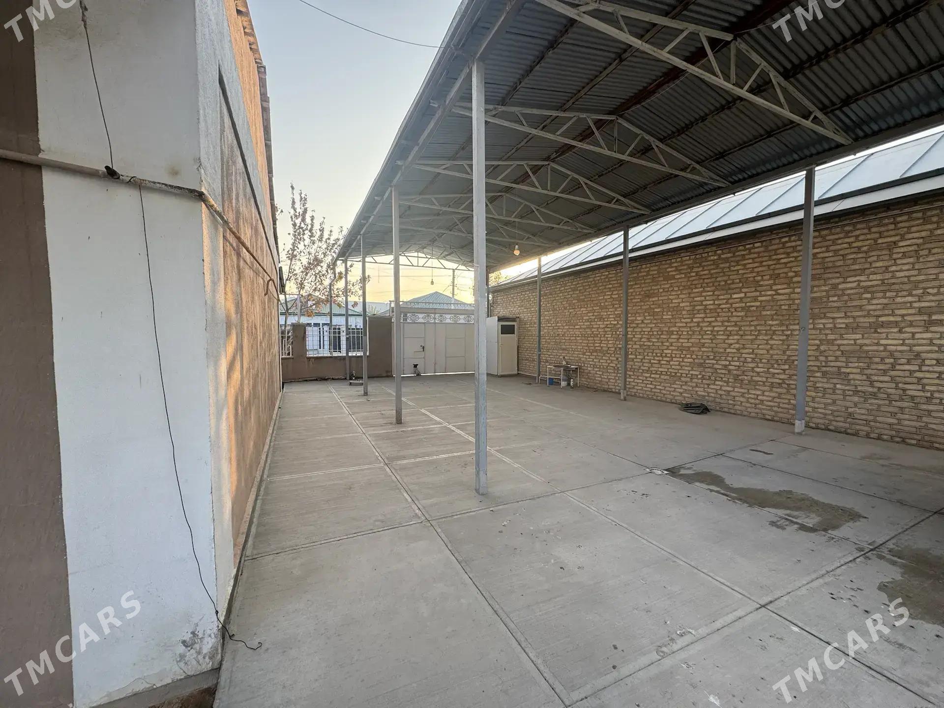 ARENDA ANEW HOWLY PLAN JAY - Änew - img 1