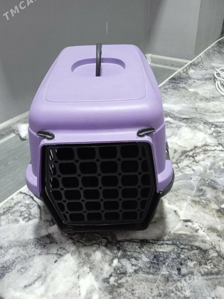 ДЛЯ КОТЯТ - Türkmenabat - img 1