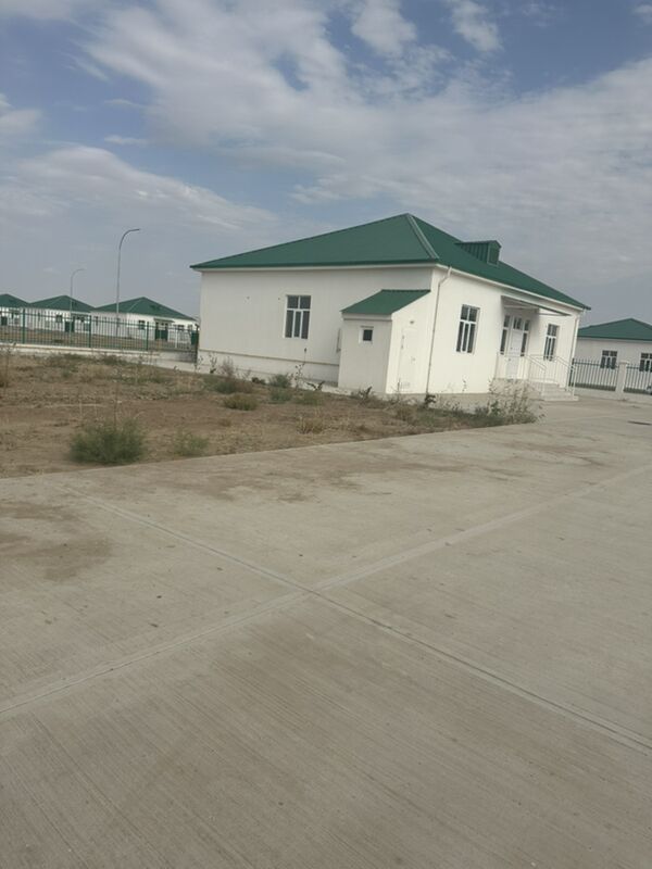 kör çay 5 kom - Änew - img 1