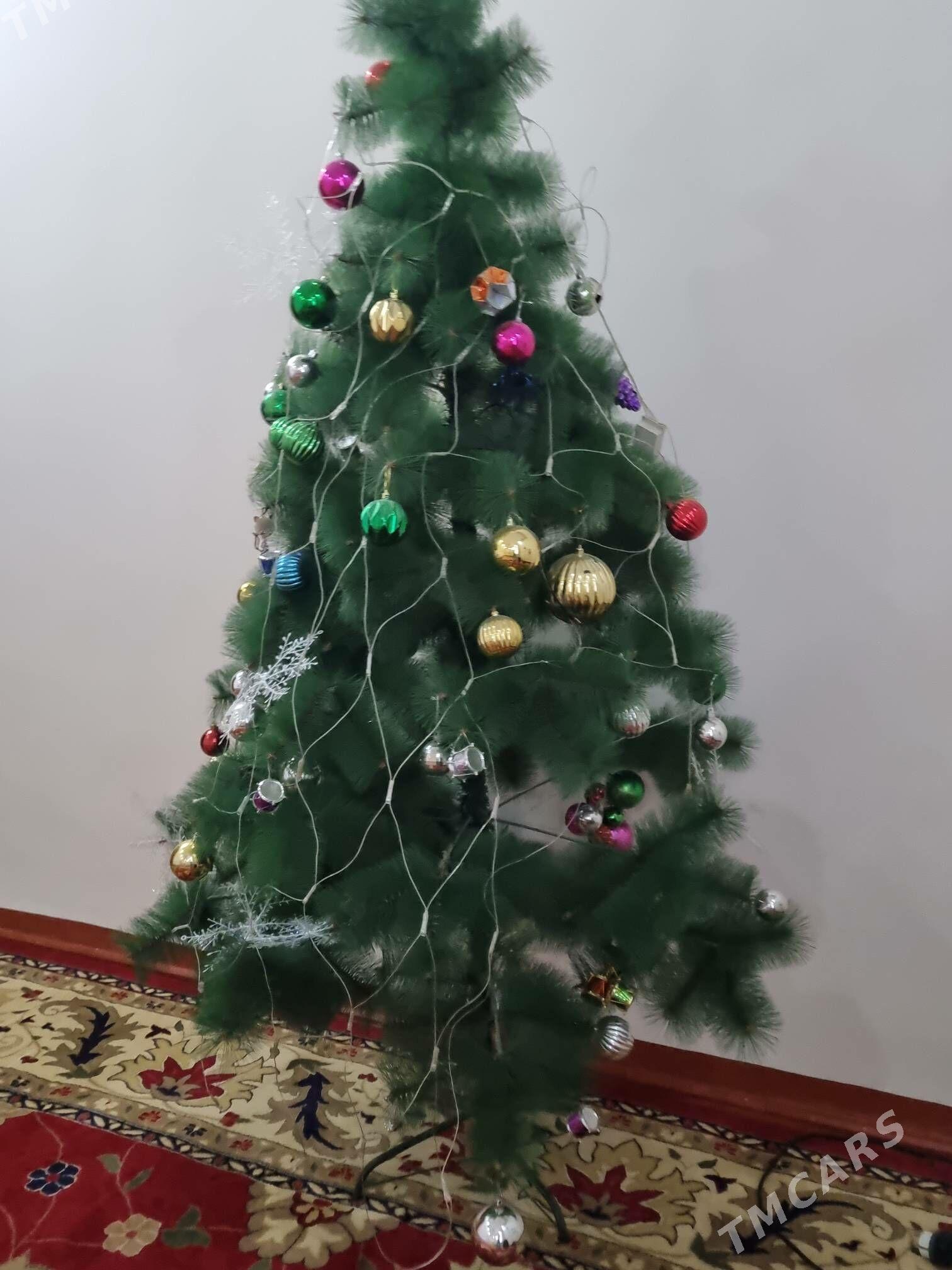 ЁЛКА - Губадаг - img 1