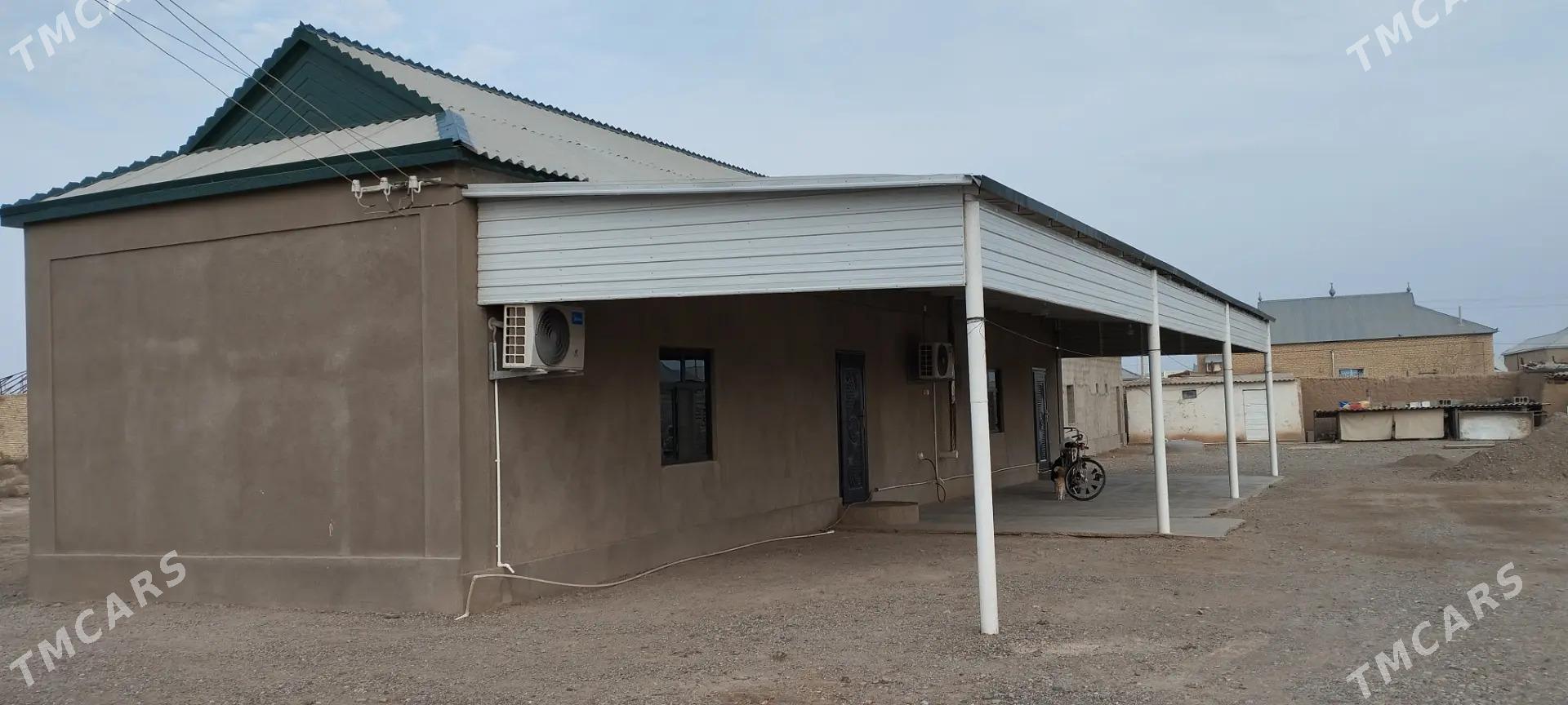 Satlyk jay - Sarahs - img 1