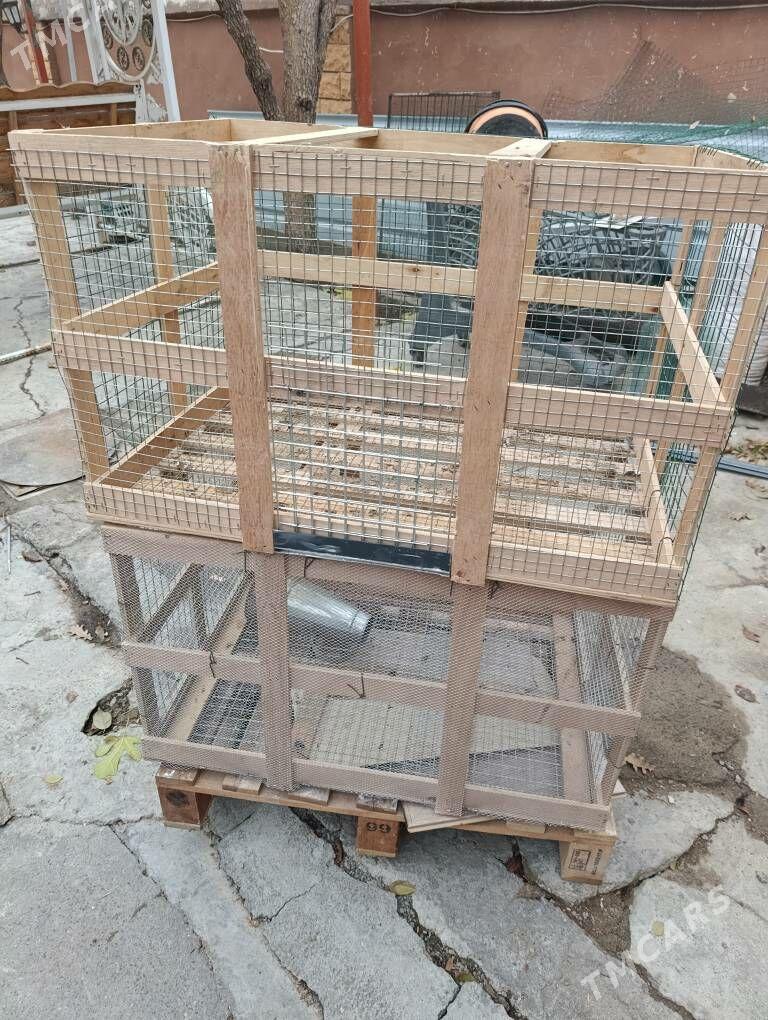 клетки - Ашхабад - img 1