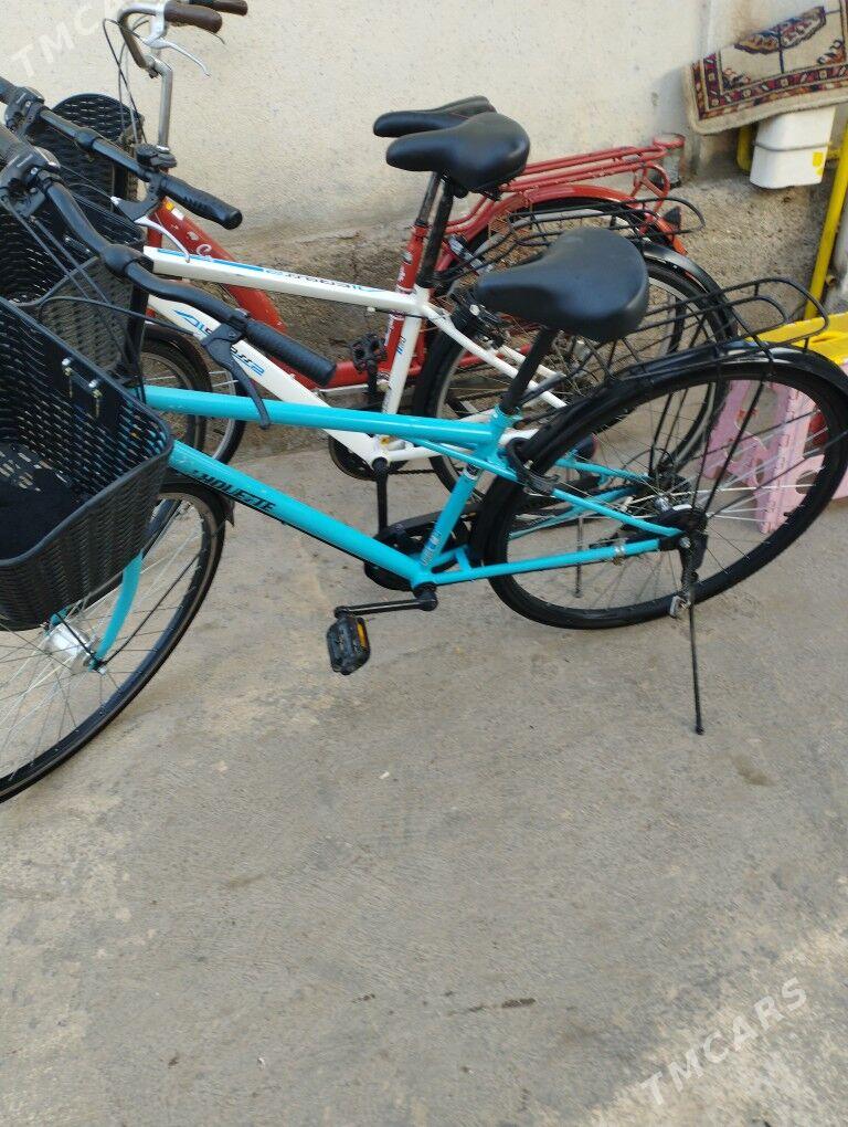 Tigir yapoşka - Garadamak - img 1