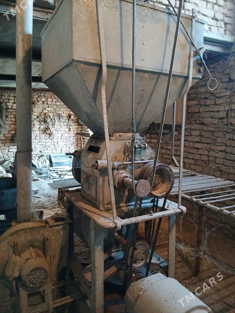 Un haraz - Tejen - img 1