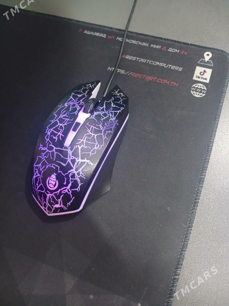 Notebook - Дашогуз - img 1