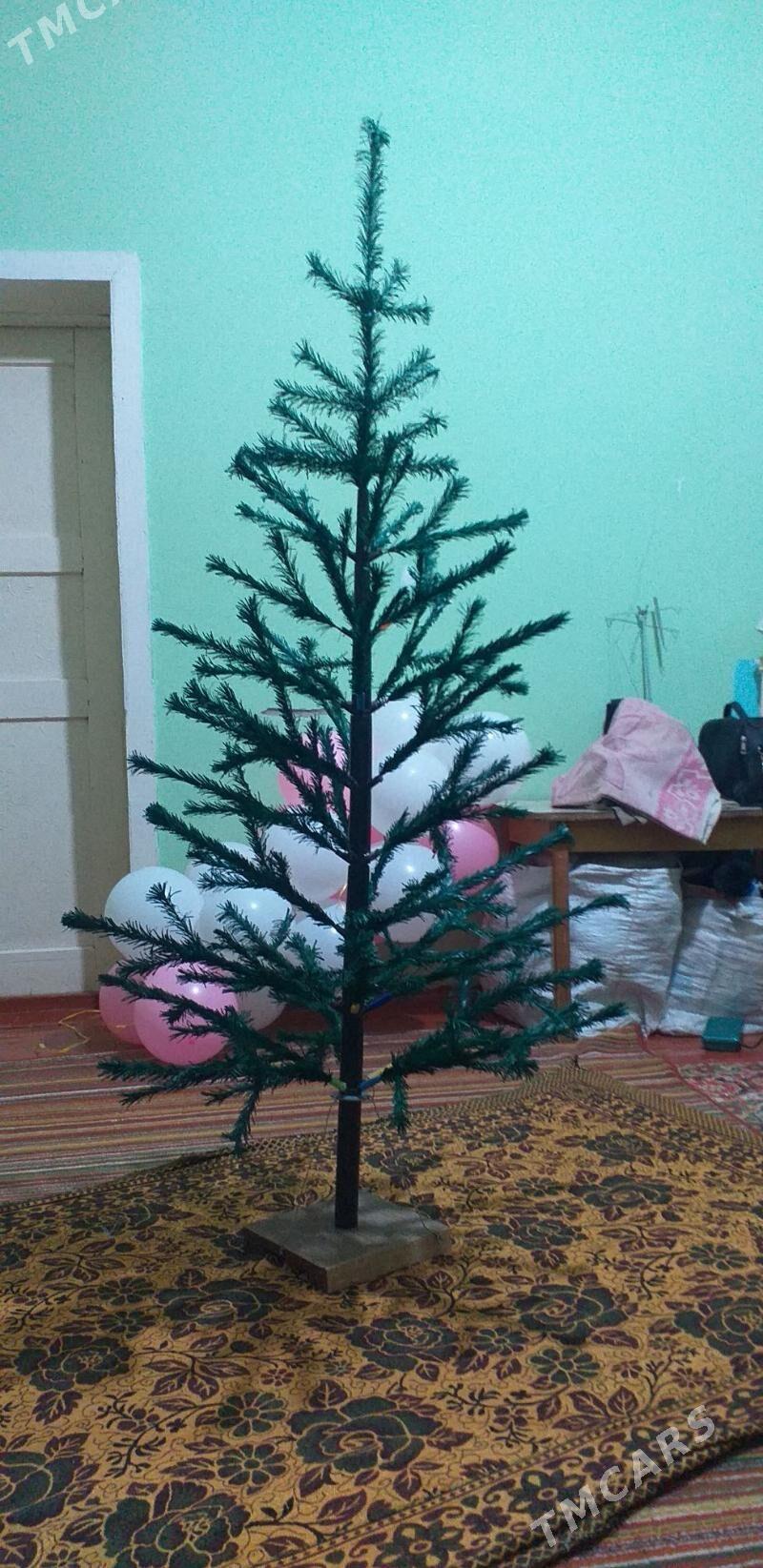 Ёлка (arça) - Дашогуз - img 1