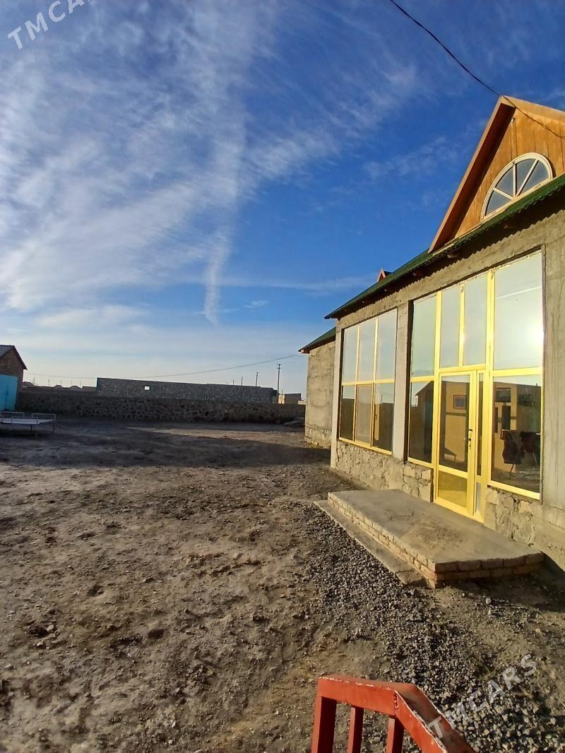 satlyk jay - Bereket - img 1