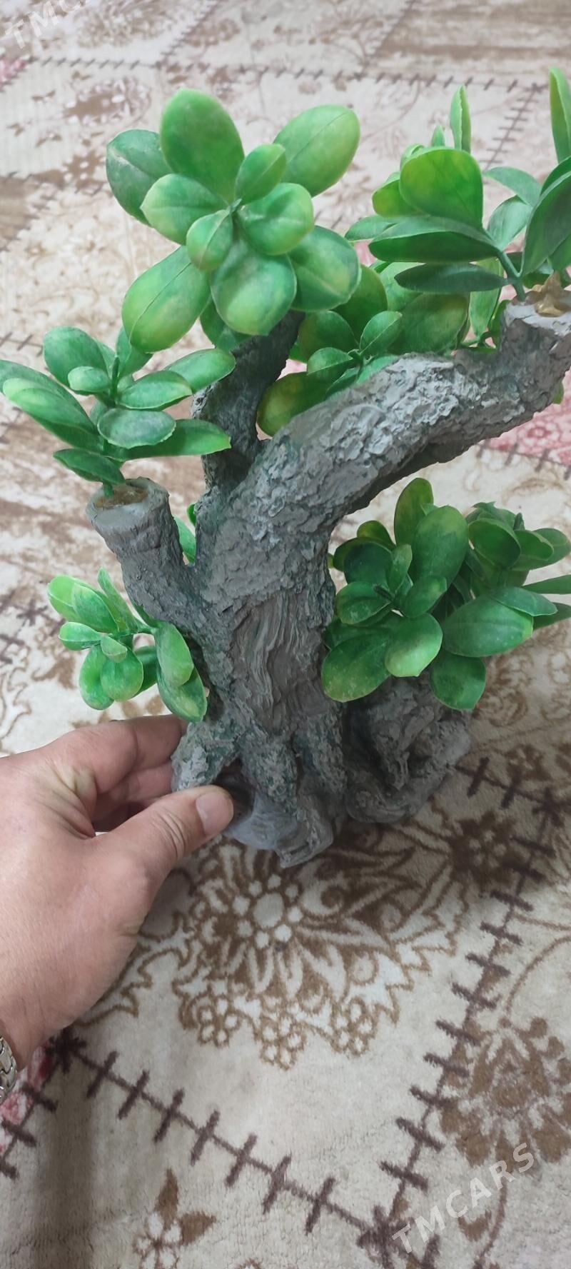 искусственные растения - Ашхабад - img 1