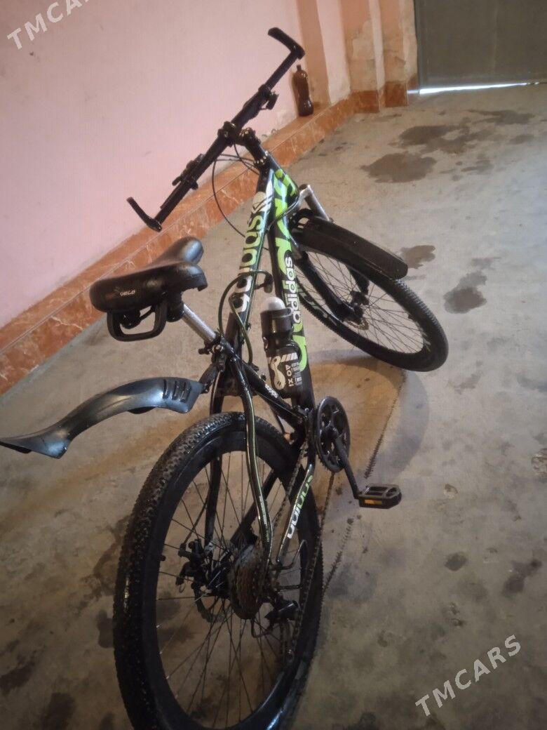 адидас велик - Çärjew - img 1