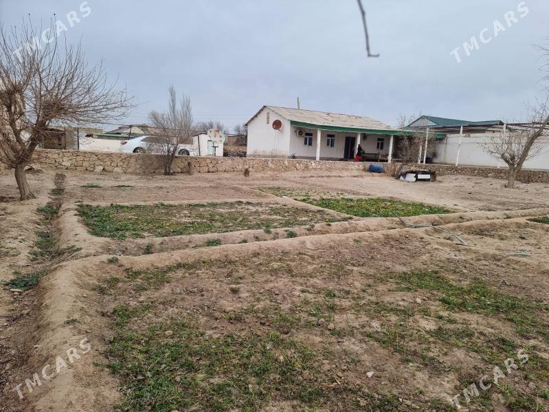 Hovly jay - Достлук - img 1