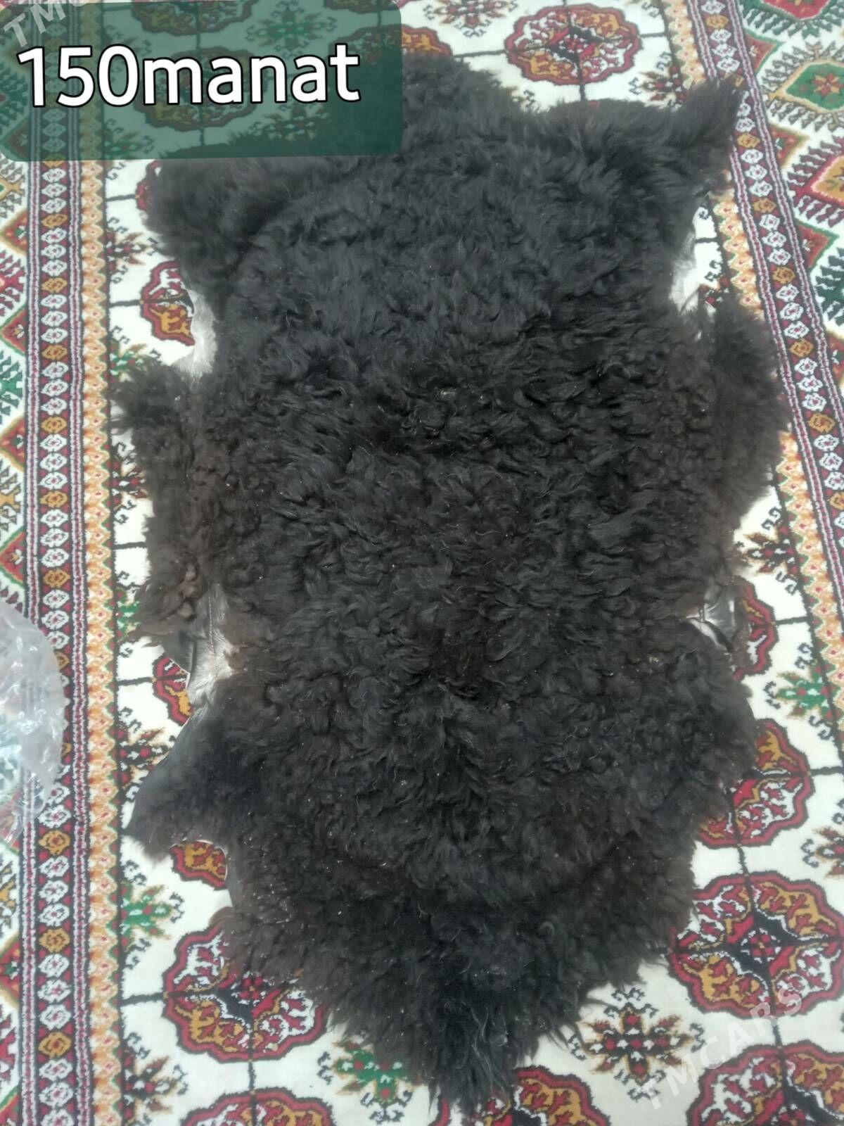 Goyun deri - 6 mkr - img 1