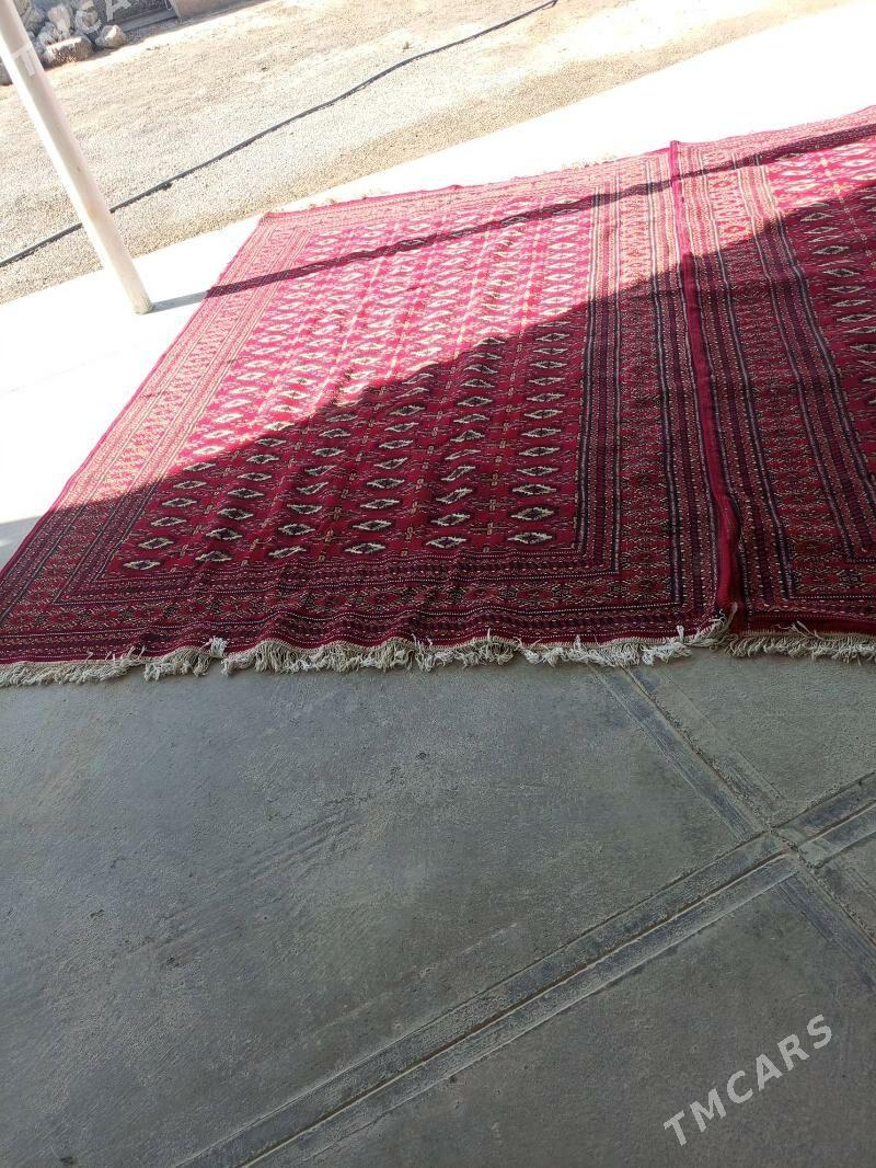 Haly - Büzmeýin - img 1