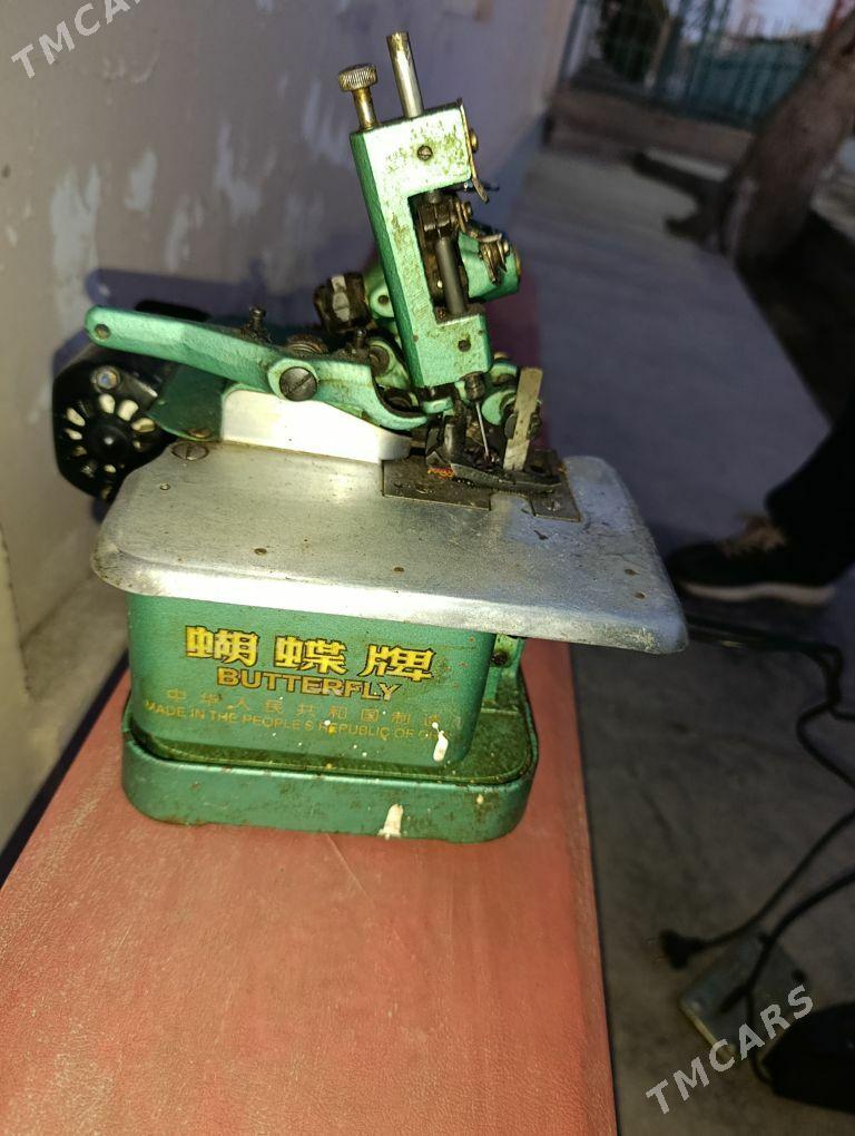 аверлок рабичи - Daşoguz - img 1