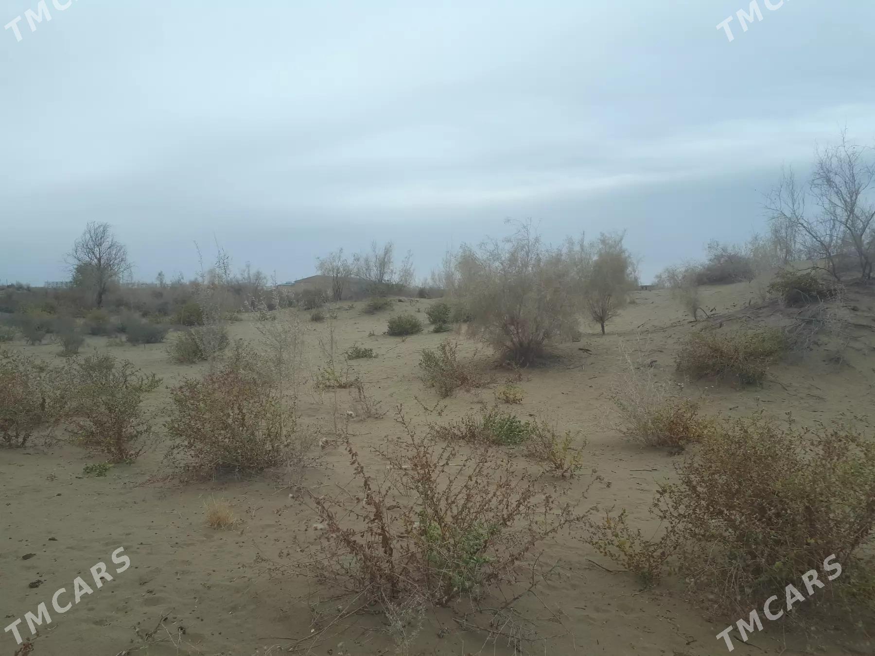 Mellek - Çärjew - img 1