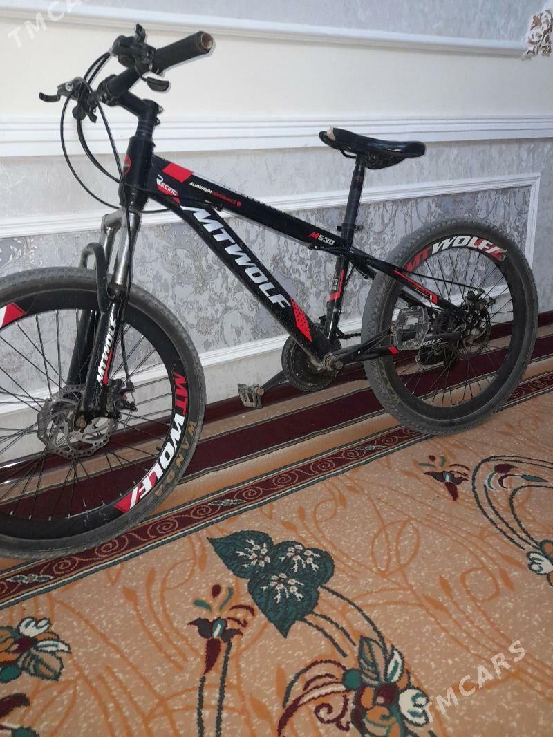 spor velik - Гурбансолтан Едже - img 1