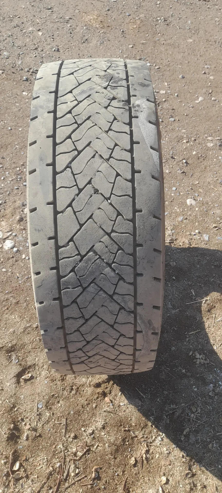 DUNLOP TIGIR 1 500 TMT - Теджен - img 1