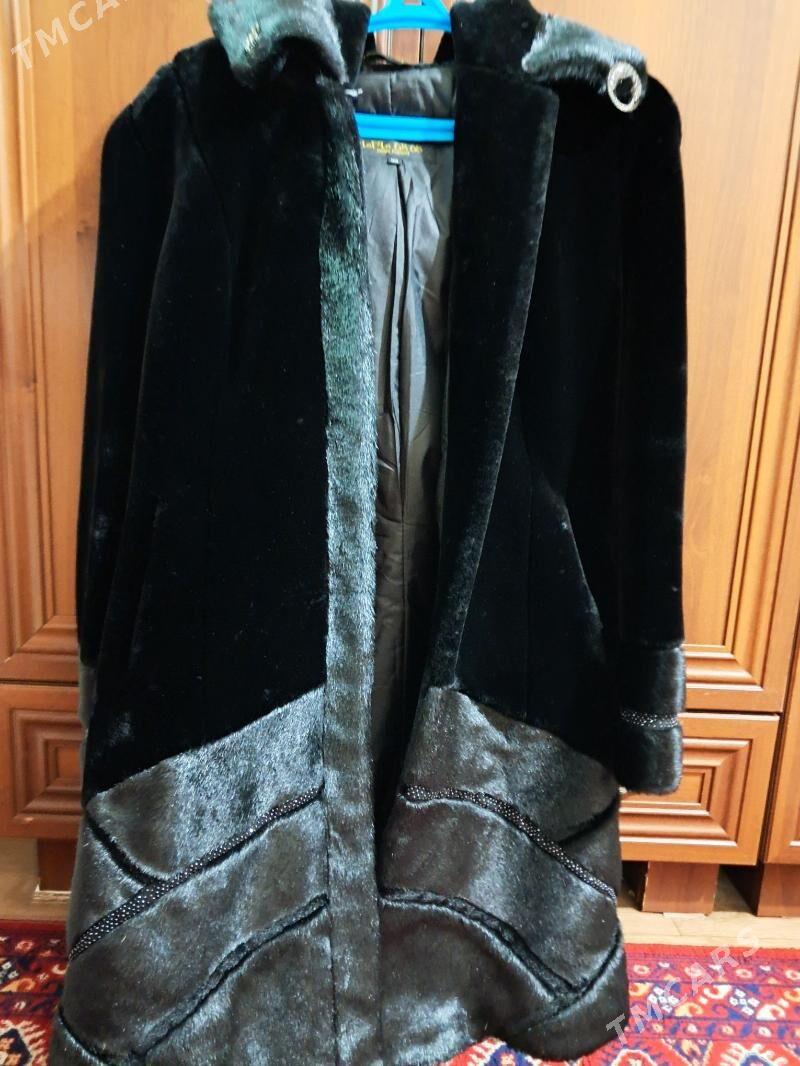 Shubo - Mary - img 1