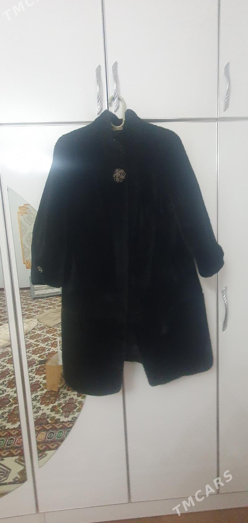 Şuba - Änew - img 1