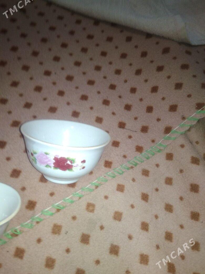 kaseler gulı her gornus - Daşoguz - img 1