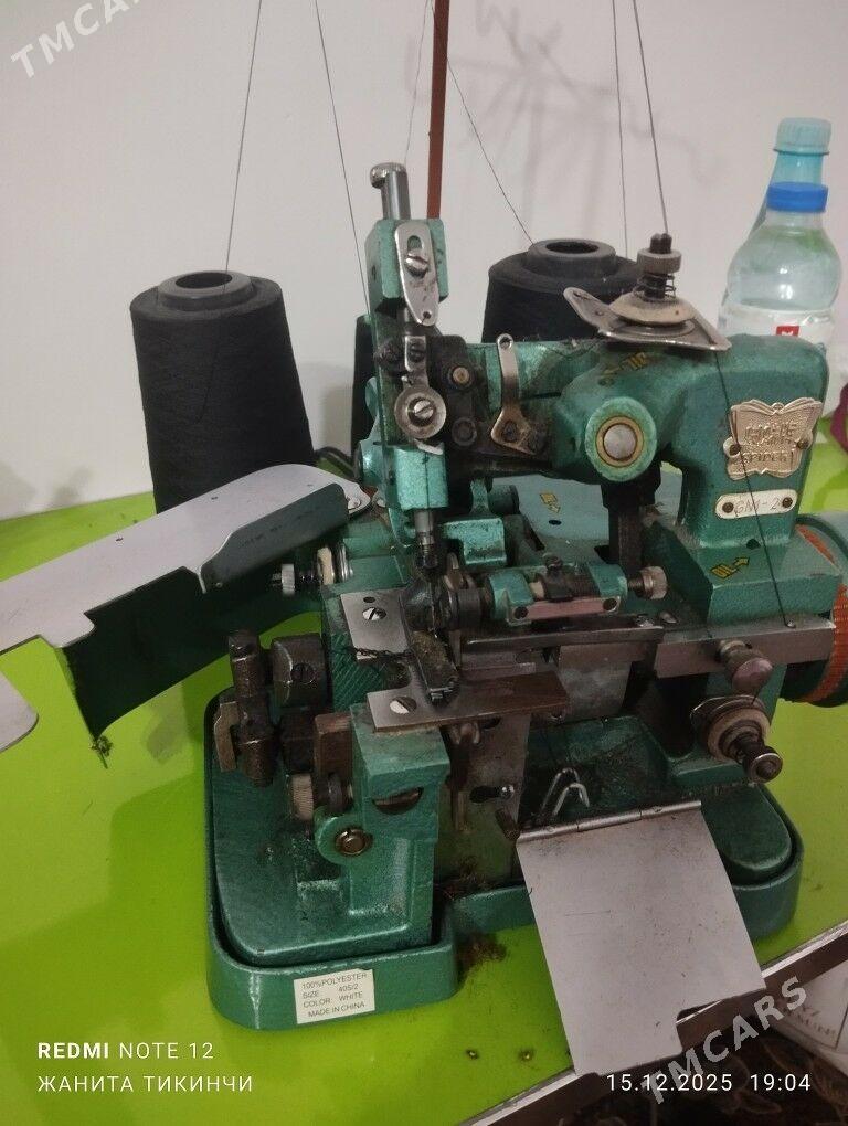 awerlok - Garagum etraby - img 1