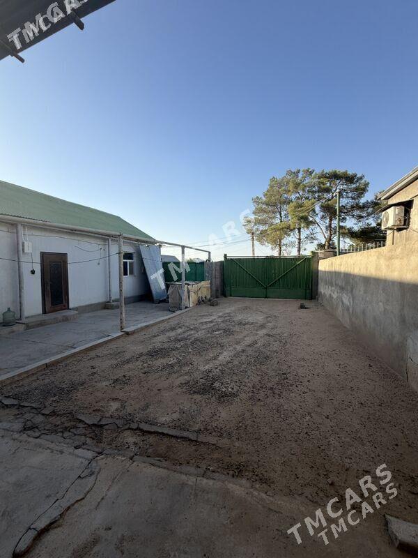 Anew plan jay - Änew - img 1