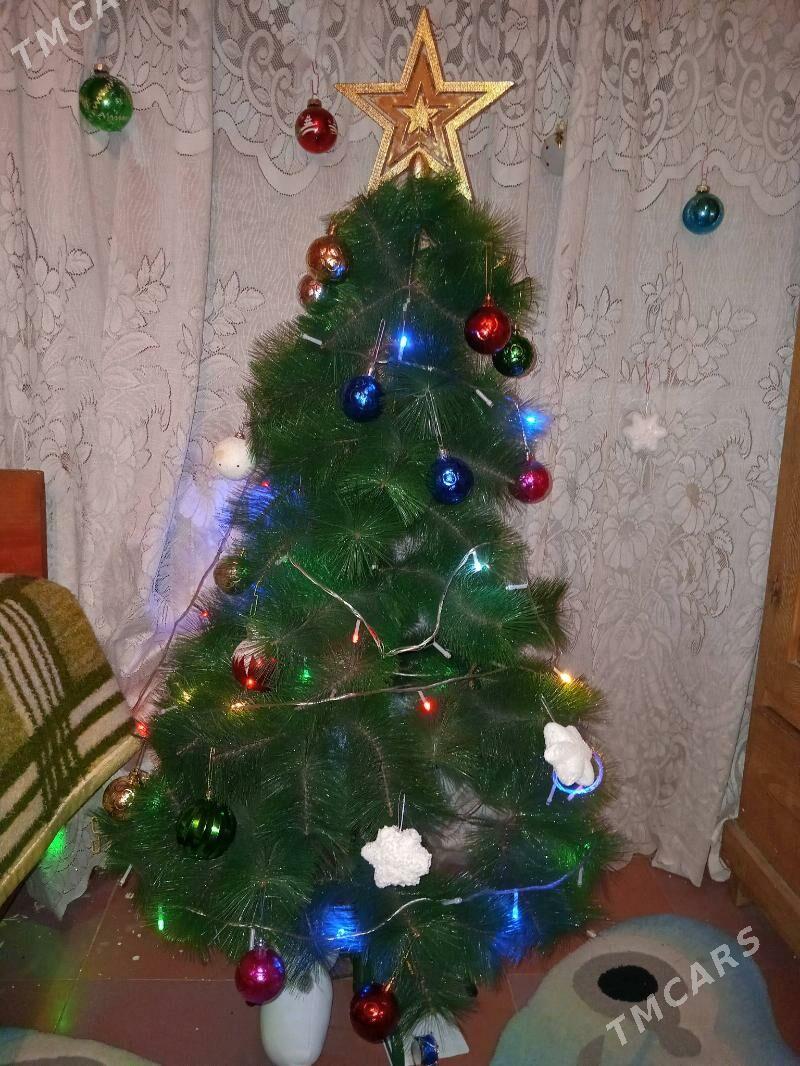 ЁЛКА - Türkmenabat - img 1