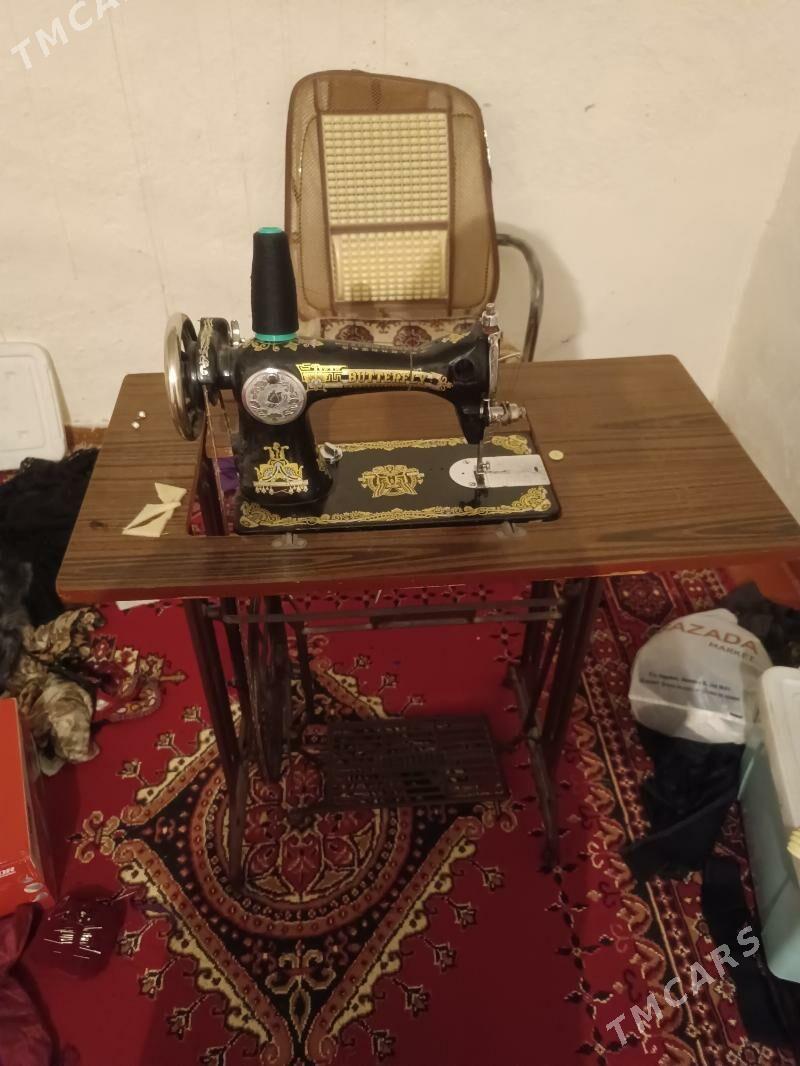 dikin masyn - Кака - img 1