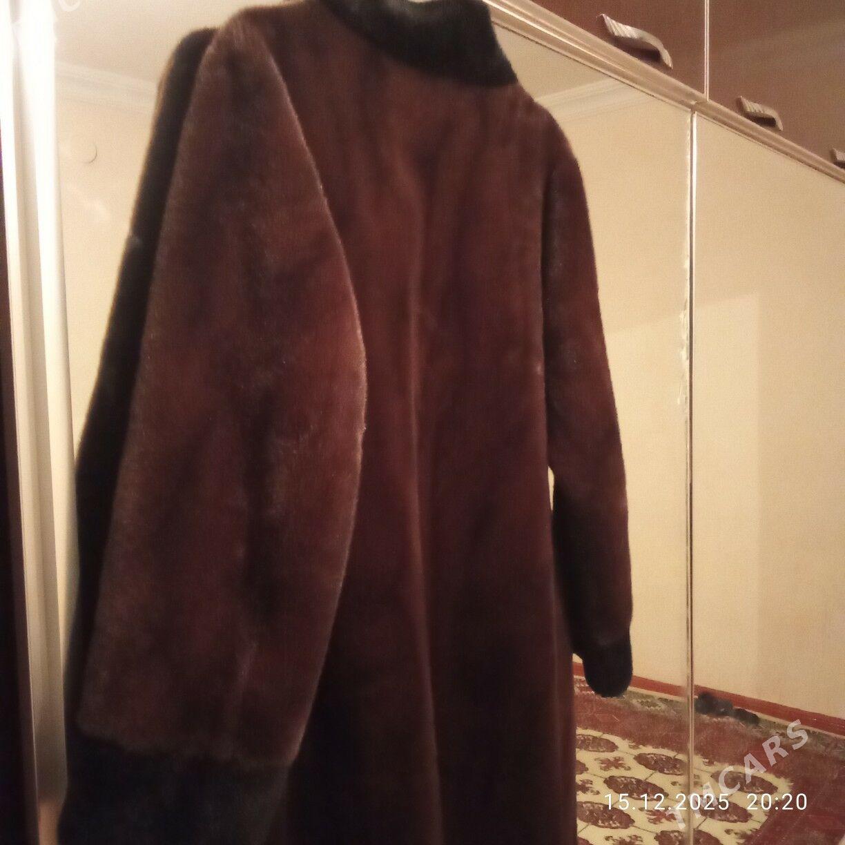 shuba - Daşoguz - img 1