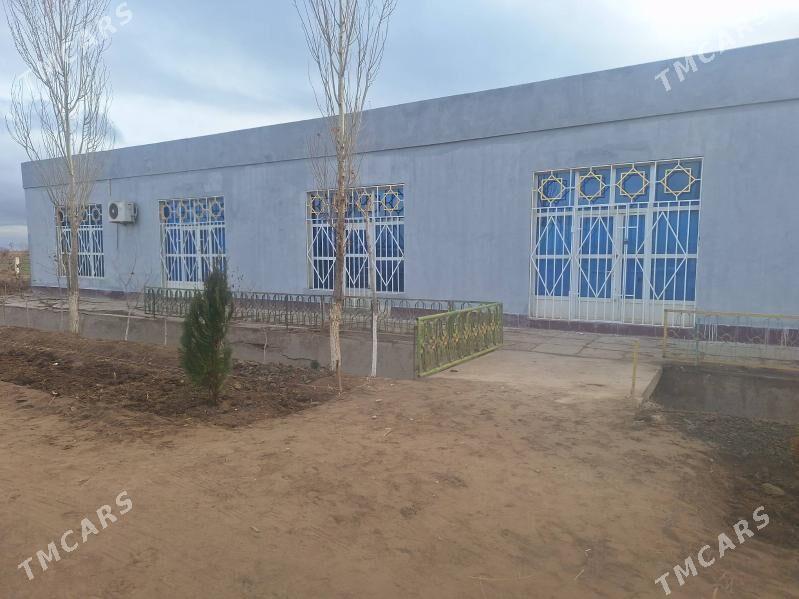 ilata hizmat edis - Гурбансолтан Едже - img 1