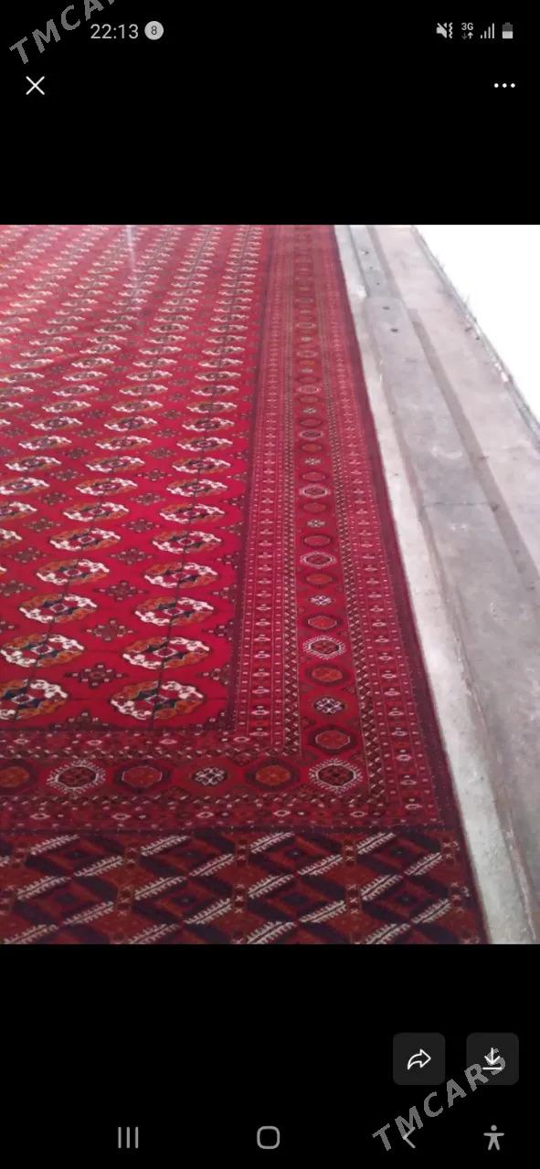 Artel haly - Gyzylarbat - img 1