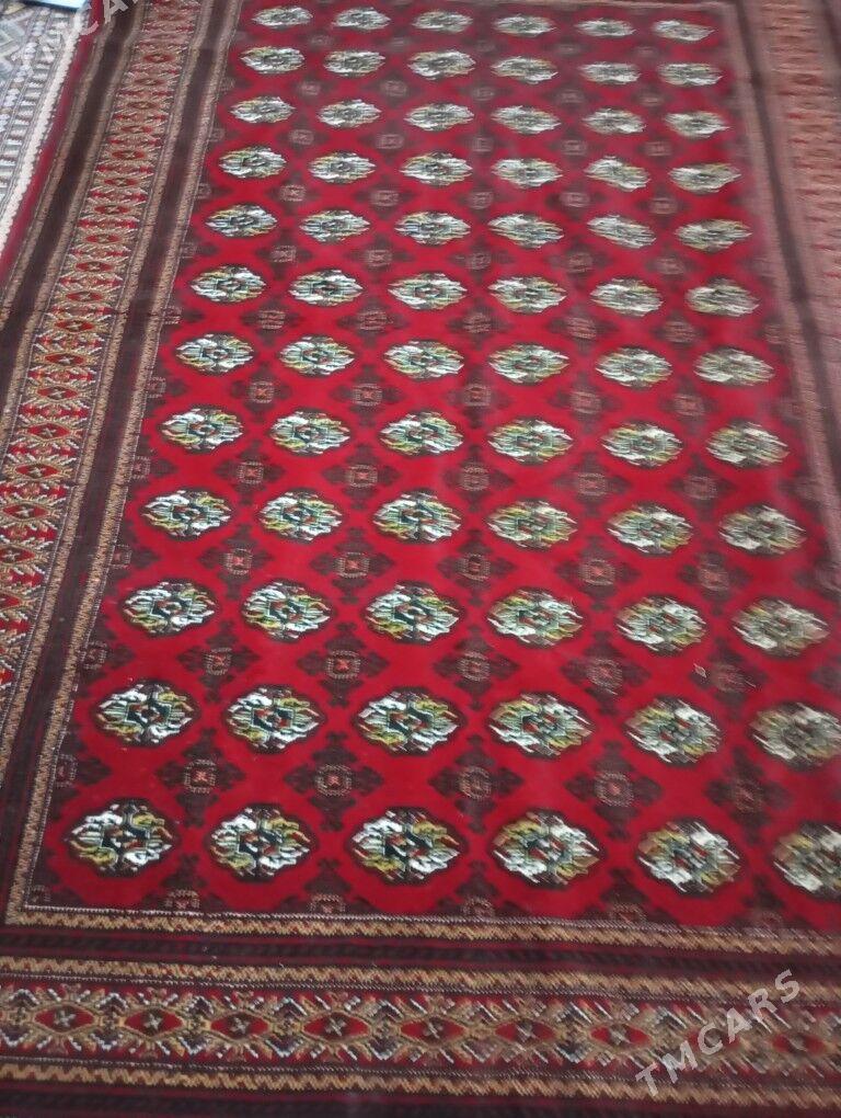 Haly - Parahat 7 - img 1