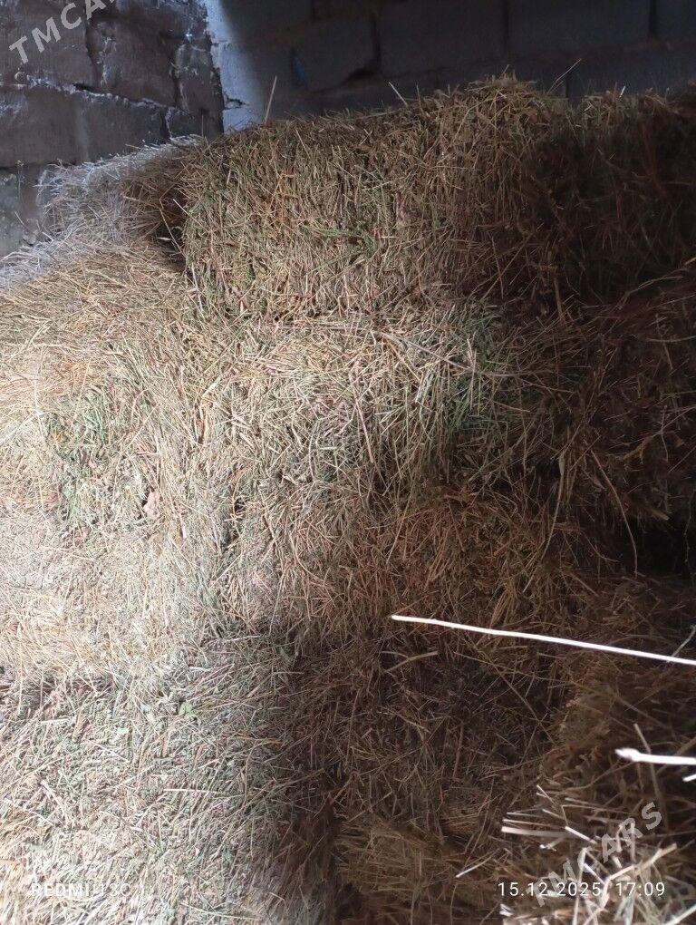 bede - Бузмеин - img 1