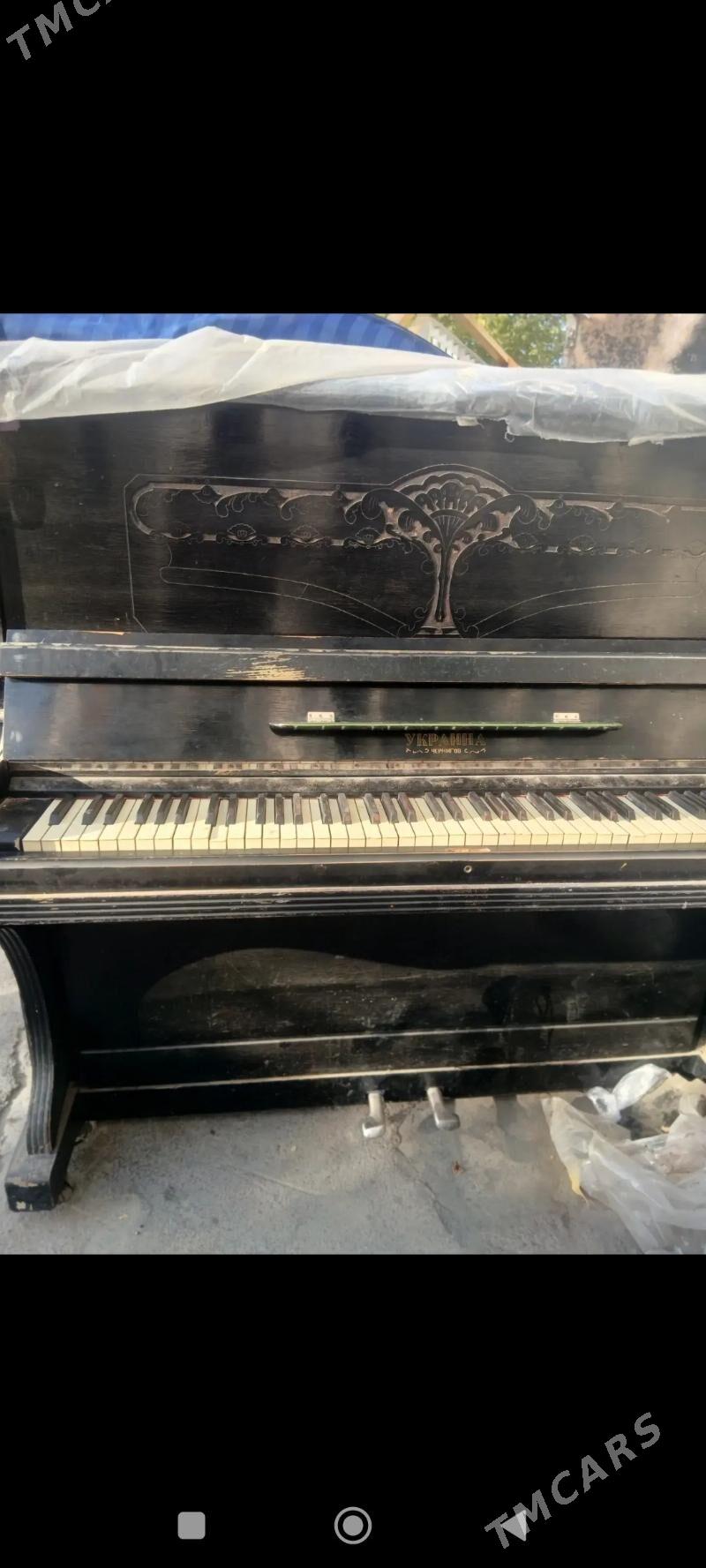 pianino пианино - Aşgabat - img 1