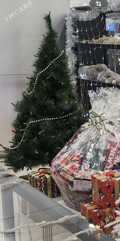 ÿolka, taze yyl елка - Ашхабад - img 1