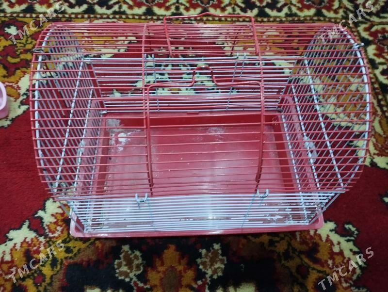 Клетка - Туркменабат - img 1